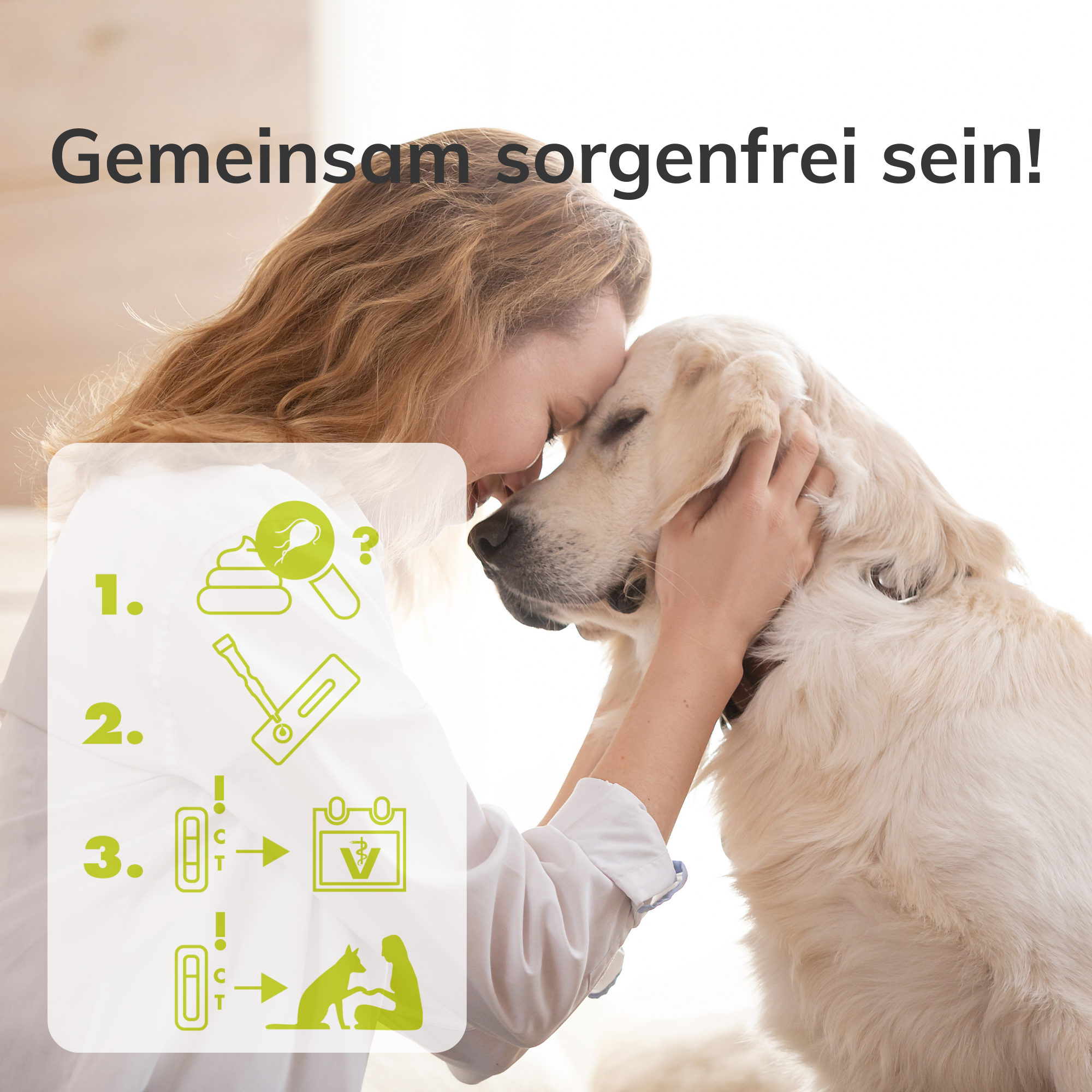 Giardientest für Hunde und Katzen für ein sorgenfreies miteinander