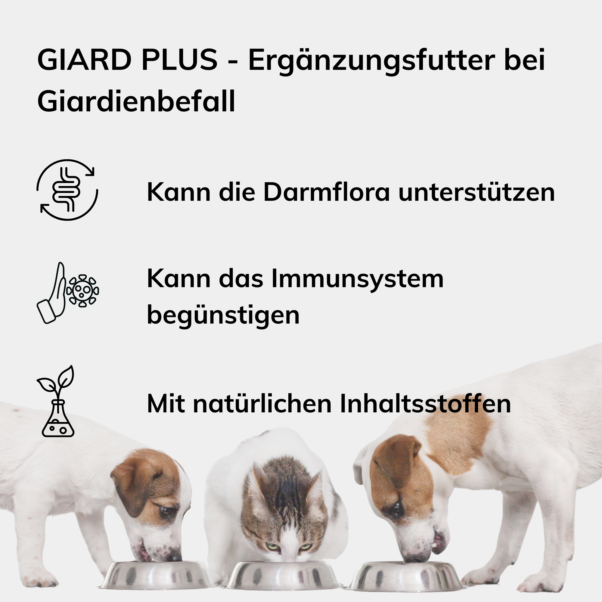 Giard Plus Ergänzungsfutter gegen Giardien – für Hunden & Katzen 140g I MHD 12/25