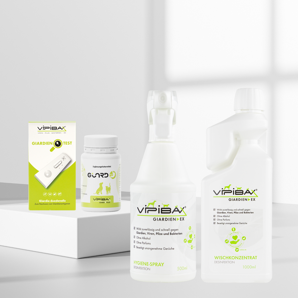 ViPiBaX Set Giardien Akut: Hygiene-Spray, Wischkonzentrat, Schnelltest und Giard Plus