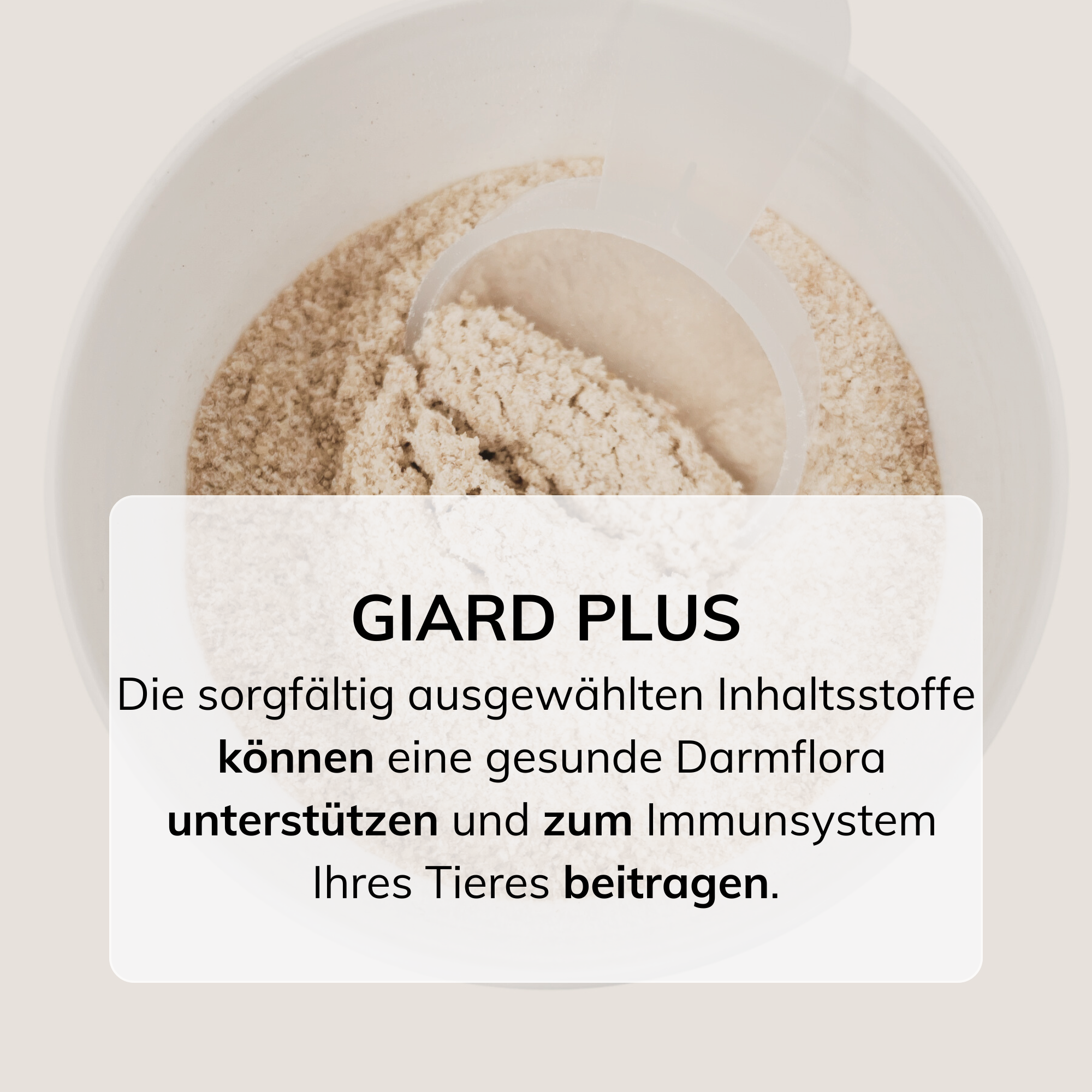 Giard Plus Ergänzungsfutter gegen Giardien – für Hunden & Katzen 140g I MHD 12/25