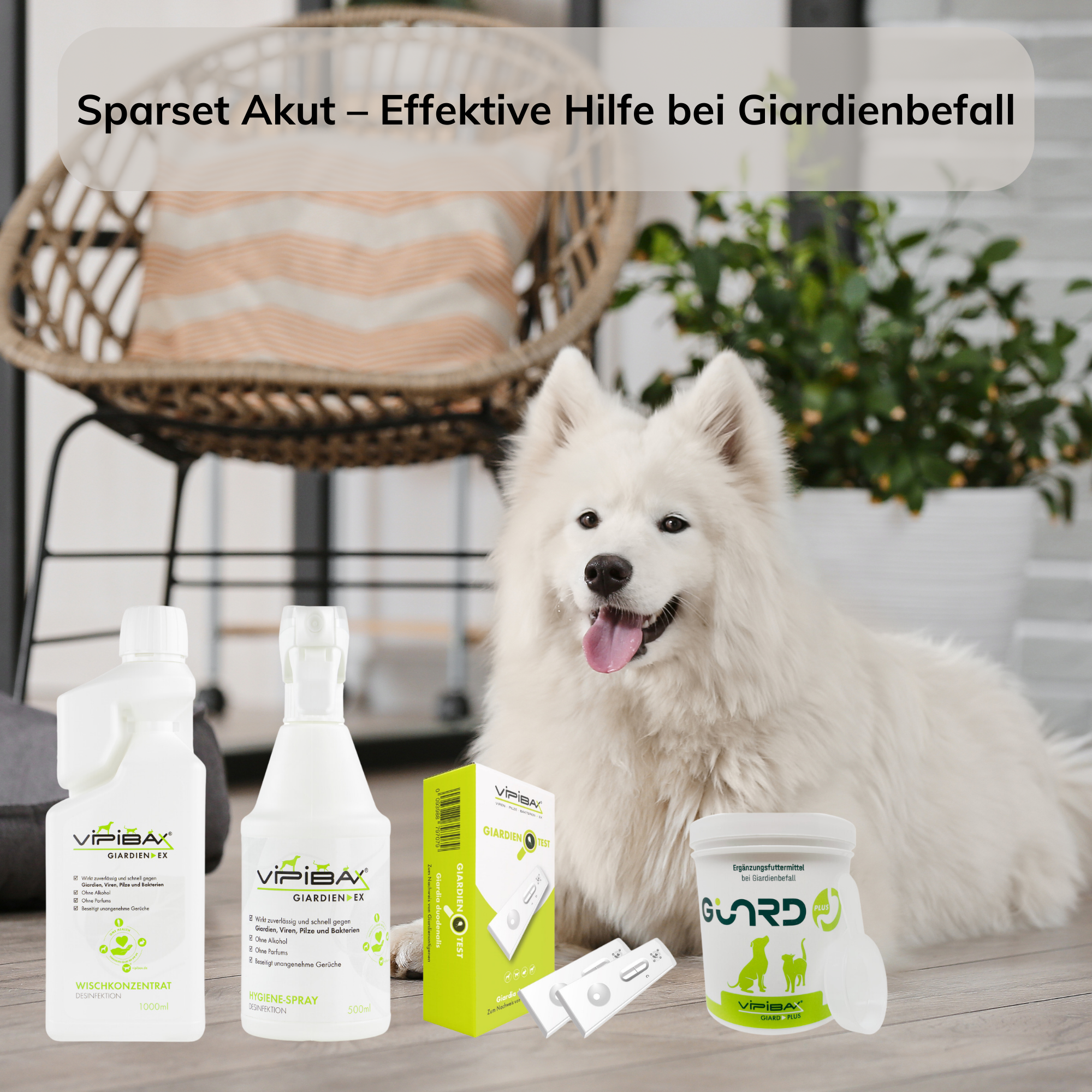 ViPiBaX Giardia EX® Bundle - Giardia Acute