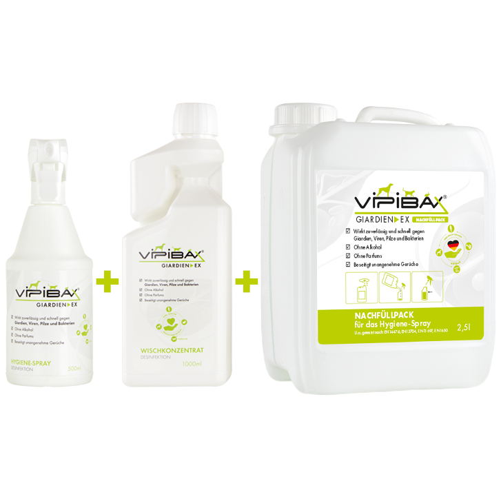 ViPiBaX Hygiene-Komplettset 1 l: Hygiene-Spray 500 ml, Nachfüllpack 2,5 l und Wischkonzentrat 1 l