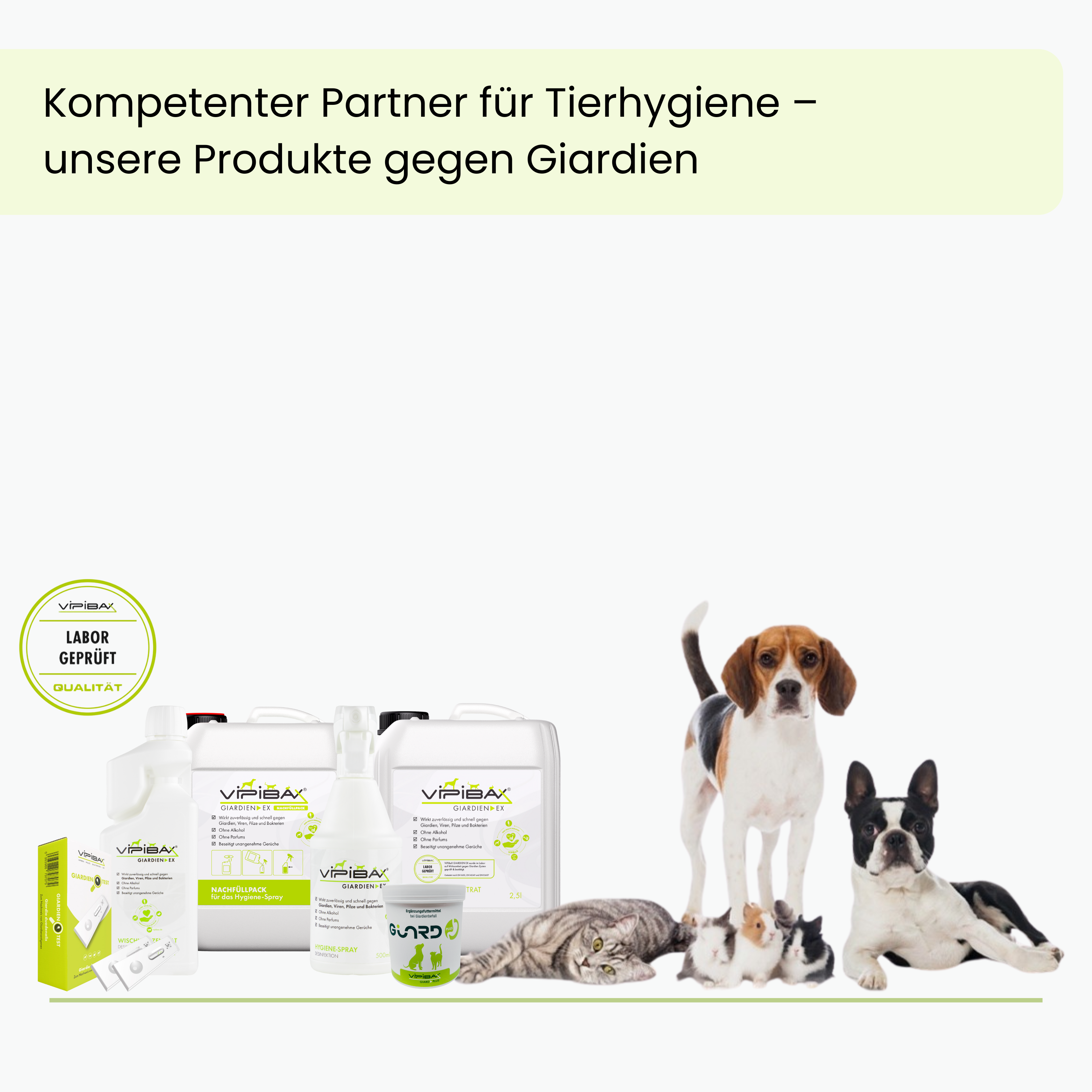 ViPiBaX Giardien EX® Bundle - Hygiene-Spray Duo