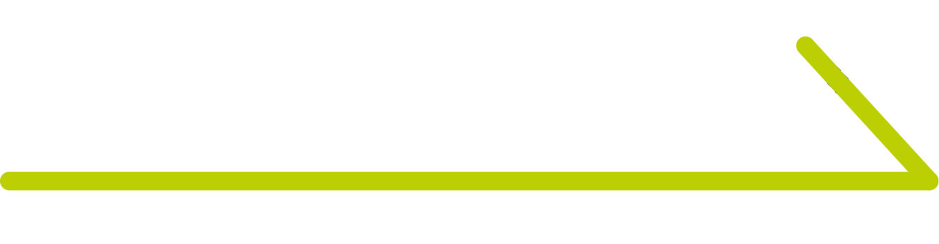 ViPiBaX