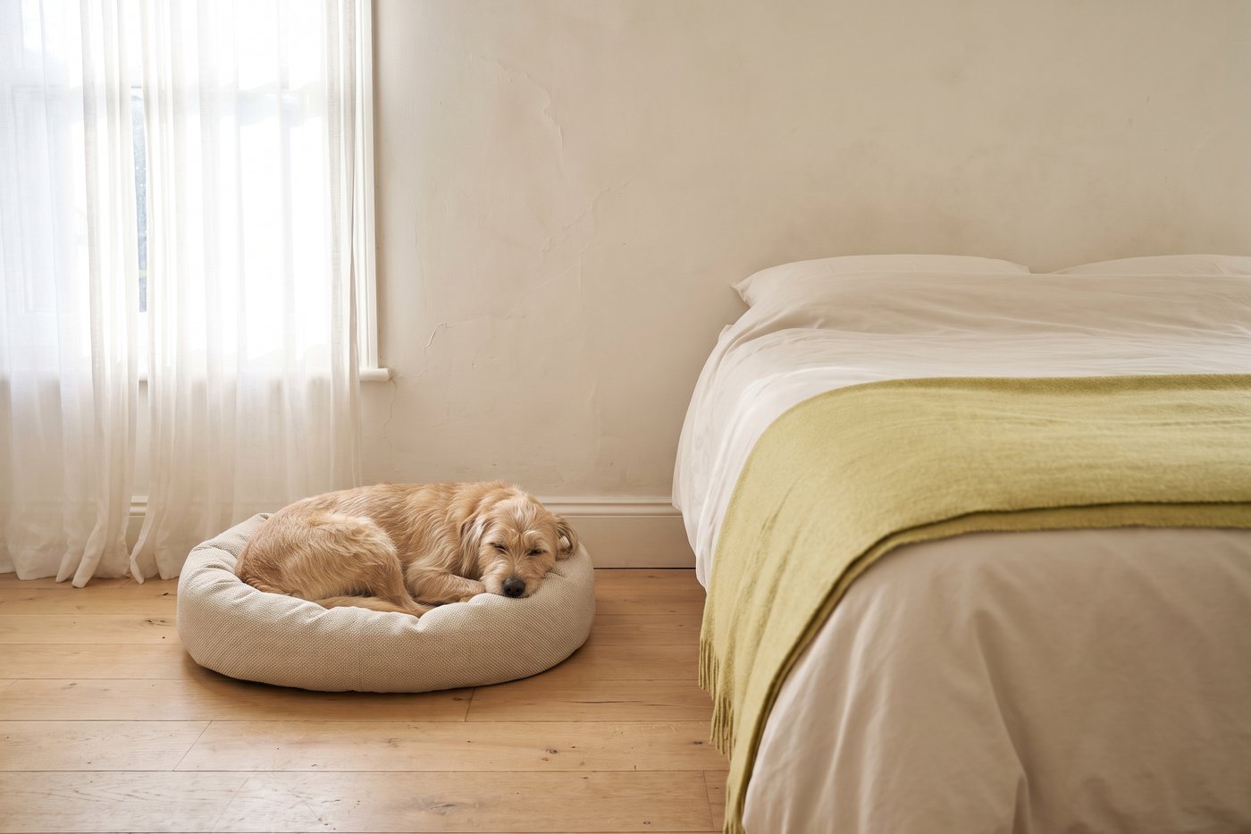 Ein Hund schläft in seinem eigenen Bett auf dem Boden neben einem frisch bezogenen Bett