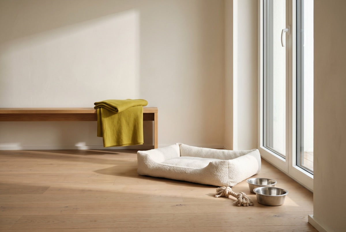 Hundebett, Decke und Näpfe in einer hellen Wohnung